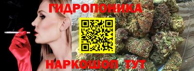 амф Обнинск