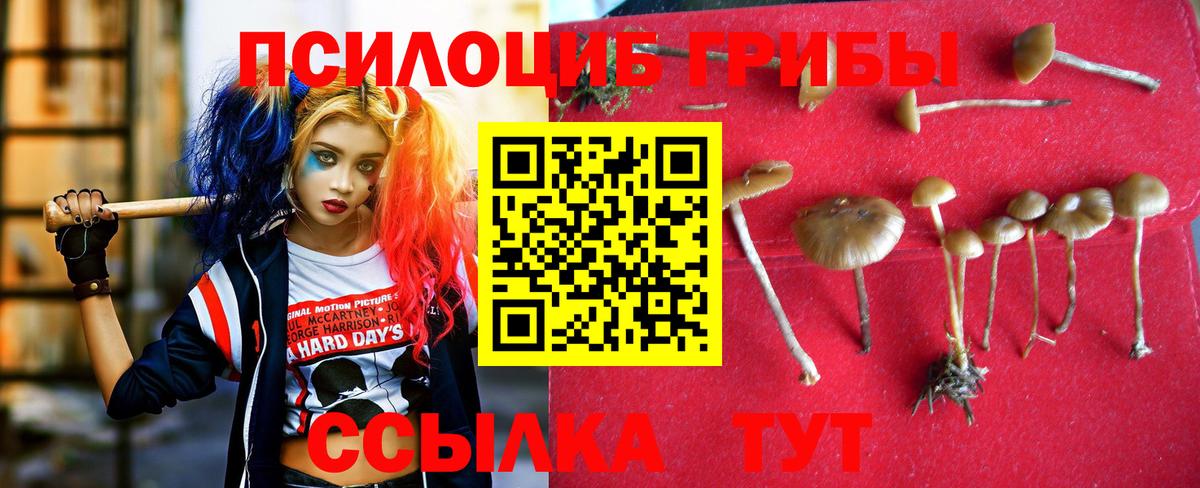 даркнет сайт  Вход с VPN  Солнечногорск  Псилоцибиновые грибы мицелий 