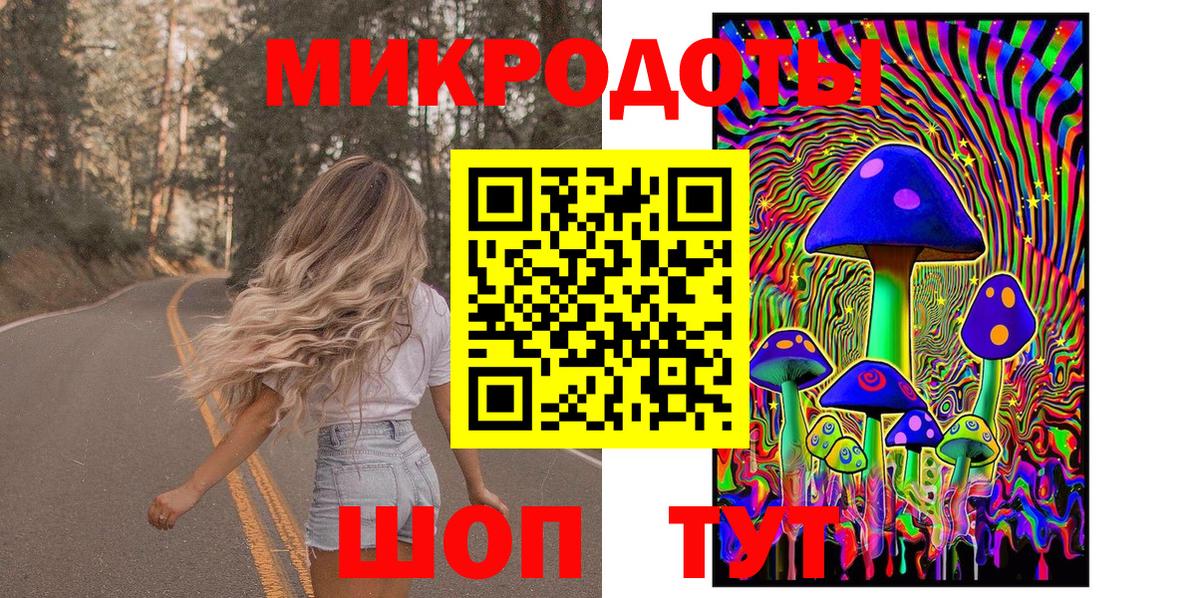 Псилоцибиновые грибы Psilocybine cubensis Солнечногорск