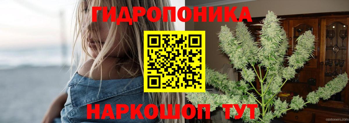 Шишки марихуана Ganja  Бошки Шишки семена  Шишки марихуана планчик  Вход с VPN  Солнечногорск  Конопля Ganja 